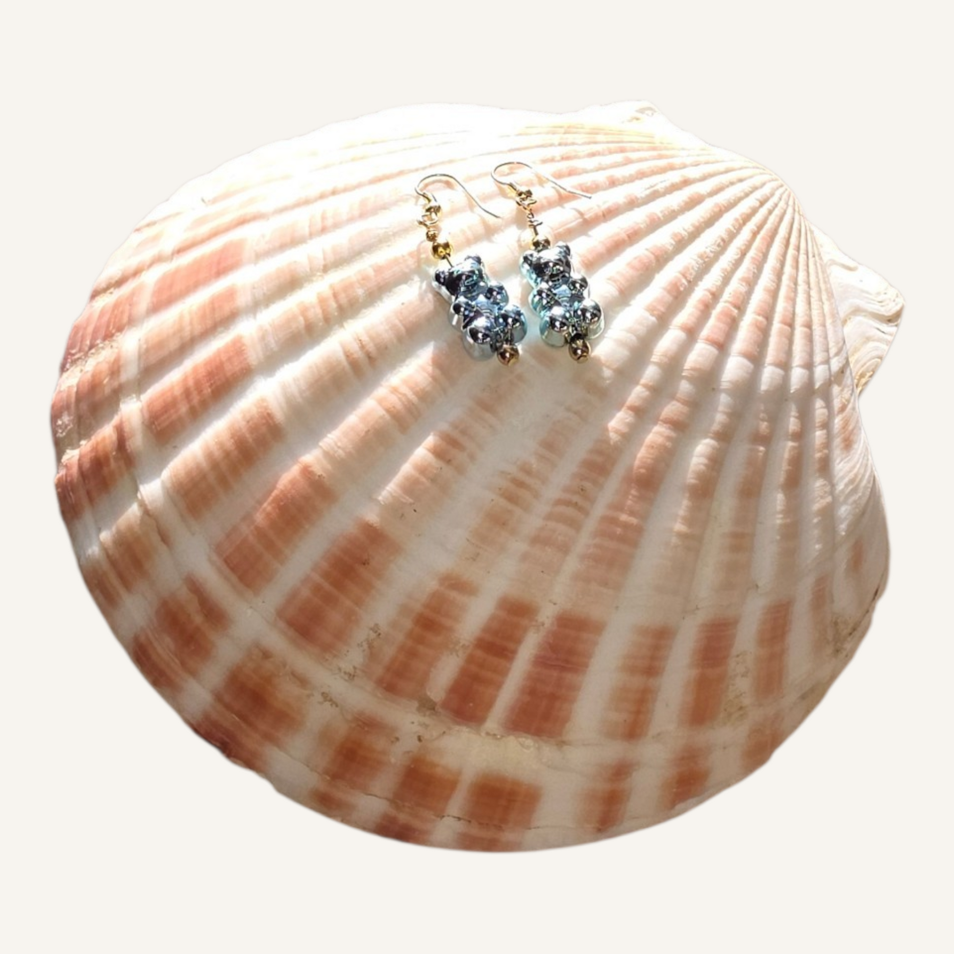 Pair of earrings on a seashell with a white background