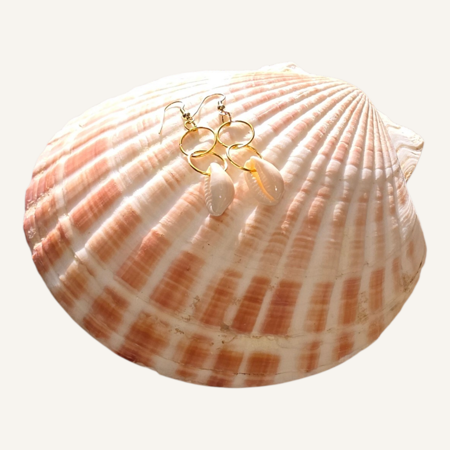 Shell with gold earrings on a white background